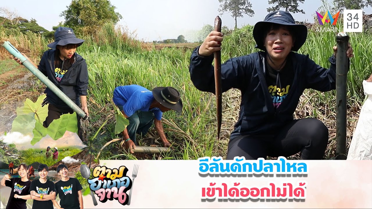 อีลันดักปลาไหล เข้าได้ออกมาไม่ได้ | ตามอำเภอจาน