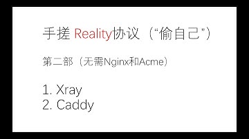 手搓Reality 偷自己 | Caddy管理证书 最强抗封锁协议之一