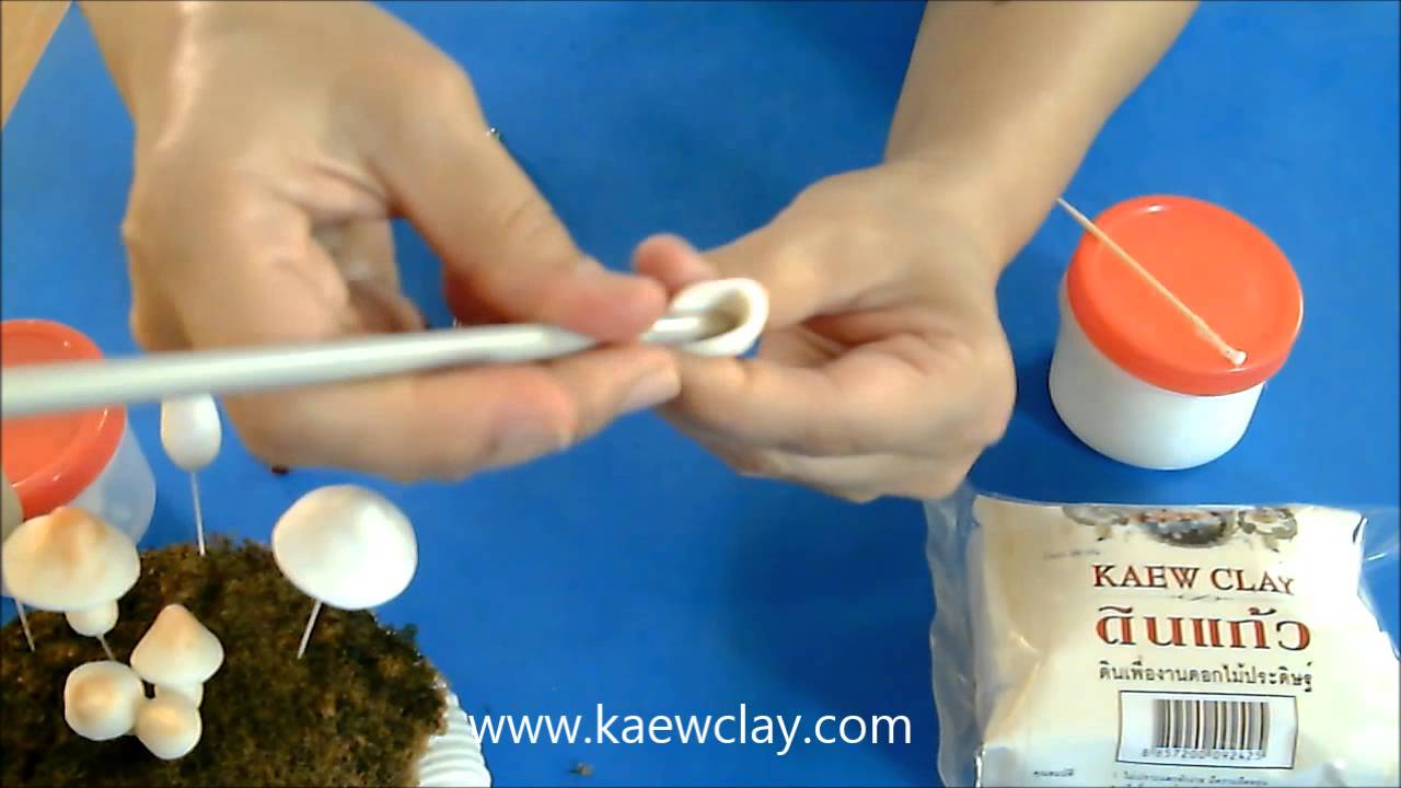 การสอนทำเห็ดด้วยดินแก้ว