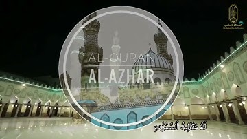الشيخ هاني سعد محمود تلاوة إمام الأزهر حفظه الله