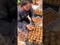 🥝 So Many Kiwis… This Is INSANE 🤯💚