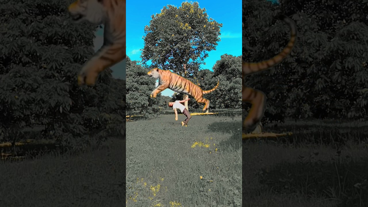 Fighting With Tiger Lion VFX Kinemaster Magic editing video 
