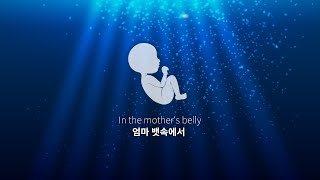 🎧 In the mother`s belly | bedtime sleeping Sound for baby | womb sound, heartbeat | Ambience ASMR