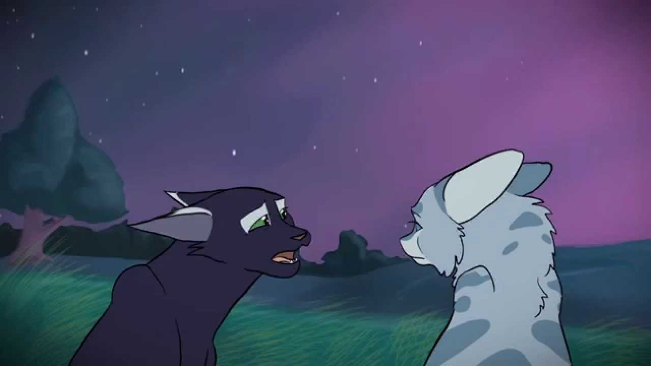 No Tomorrow - Animation