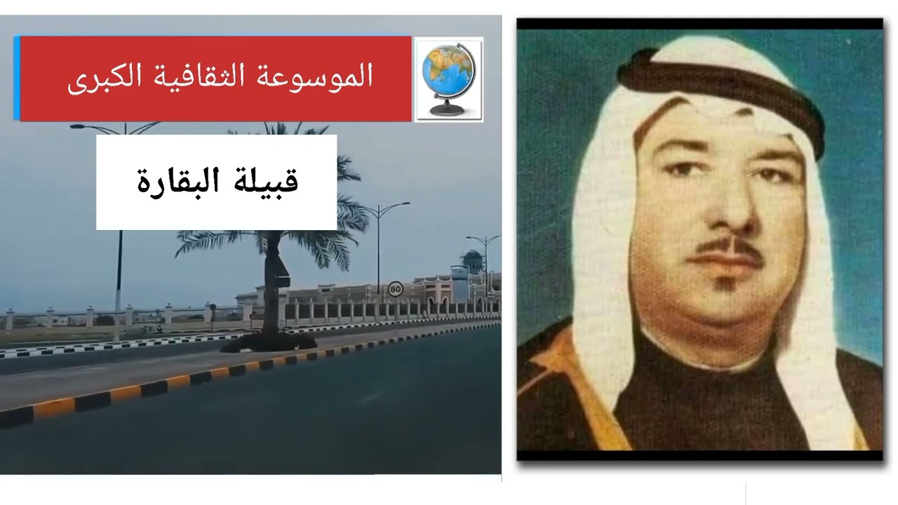 قبيلة البقارة.. تاريخها وأصولها وانسابها