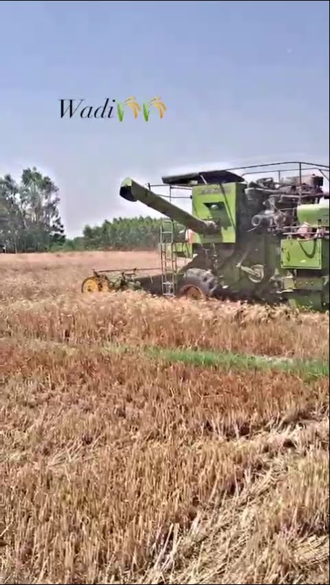 🤘 My Status - ShareChat