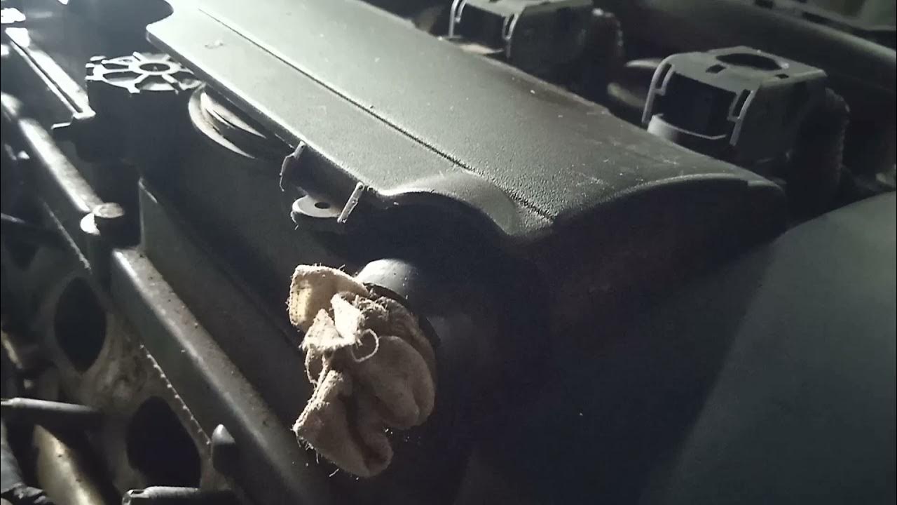 Чистка грецким орехом bmw