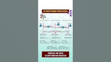 Discover the Truth Behind IP Routing