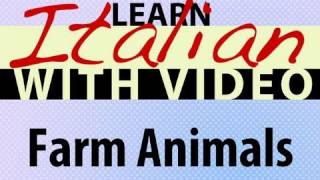 Learn Italian with Video - Farm Animals