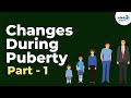 Changes during Puberty - Part 1 | Reaching Adolescence | Don't Memorise