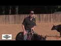 Working 2 year olds on cattle with Matt Tune Performance Horses