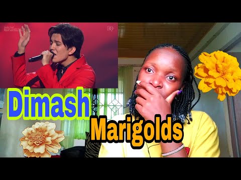Dimash_Marigolds(reaction) #dimash#marigolds
