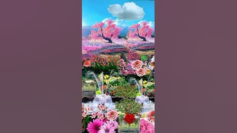 القران الكريم بصوت جميل 💚
