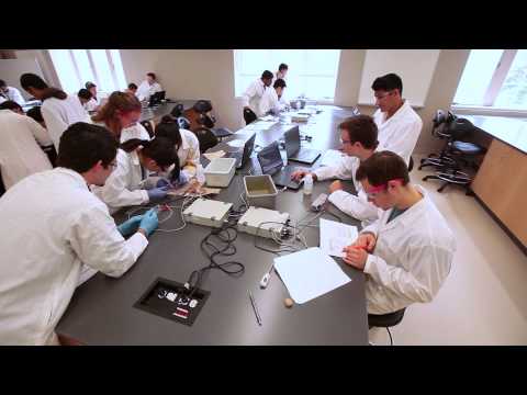 schulich-medicine-&-dentistry---bachelor-of-medical-sciences-profile