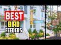 ✅Top 5 Best Bird Feeders in 2025