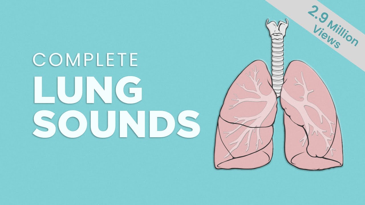 Adventitious Lung Sounds Chart