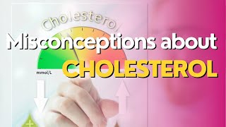 Misconceptions about Cholesterol | Health Insiders