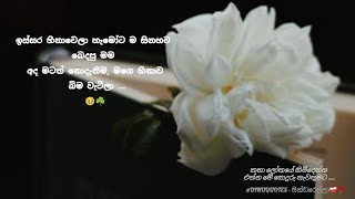 මටත් නොදැනිම මගෙ හිනාව බිම වැටිලා ..🥹☘️ |සොදුරු නැවතුම | @DinuQuotes- සින්ඩරෙල්ලා❤️‍🩹🌹 by සින්ඩරෙල්ලා  115 views 1 day ago 1 minute, 8 seconds