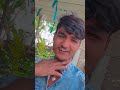 Ham mast lageni daari tu bawal lagelu saari me #song bhojpuri song #♥️🙏🙏😍💚👍👍