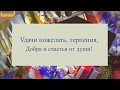 Душевное поздравление начальнику с днем рождения от сотрудников. super-pozdravlenie.ru