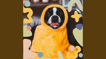 Pulsating Happy Puppies