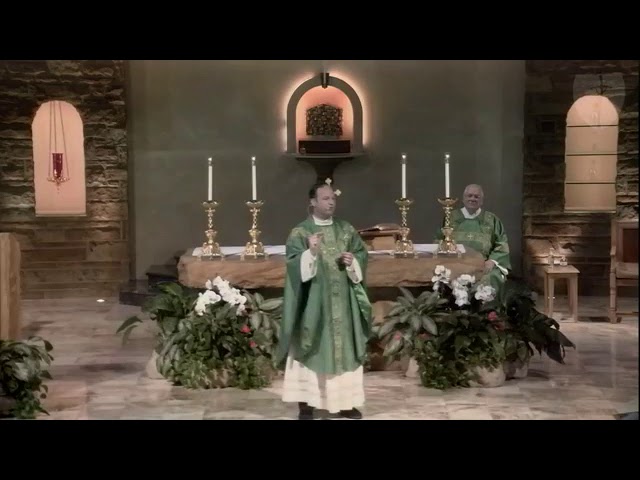 Father Jay's Homily from Thursday, July 2, 2020
