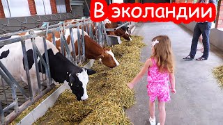 VLOG Мы поехали в Эколандию