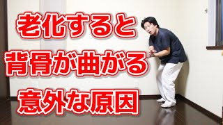 歳取ると背骨が曲がりだす真の原因と背骨を真っ直ぐに伸ばす方法