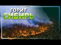 В Сибири нечем тушить масштабные лесные пожары