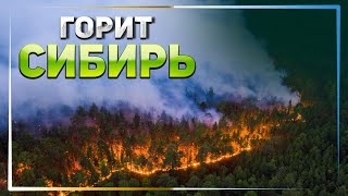 В Сибири нечем тушить масштабные лесные пожары