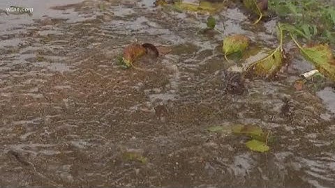 Rain causing sewer overflow in Lancaster