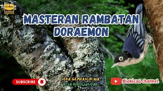 MASTERAN RAMBATAN DORAEMON