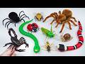 [Toy Asmr] Zuru Robo Alive: Snake - Tarantula - Black Scorpion Toys | Satisfying Unboxing ASMR