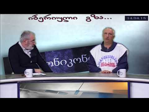 1-ლი ბლოკი: საპროტესტო მსვლელობა ფეხით მესტიიდან თბილისამდე: დავით თორდია  PKTV-ს 'ქორონიკონში'