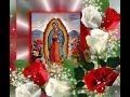 Mi Virgen Ranchera, Mariachi Vargas.