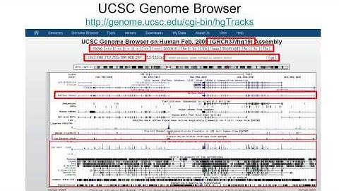 Tin Sinh Học - UCSC Genome Browser (part 10-4)