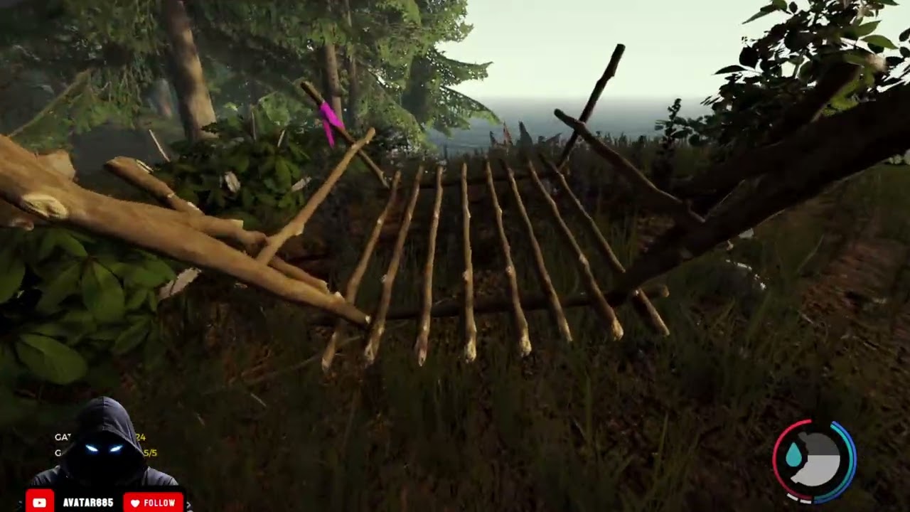 Back To The Forest | Tiktok Server Day 5