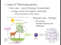 Biology 1010 Lecture 7 Biological Energy