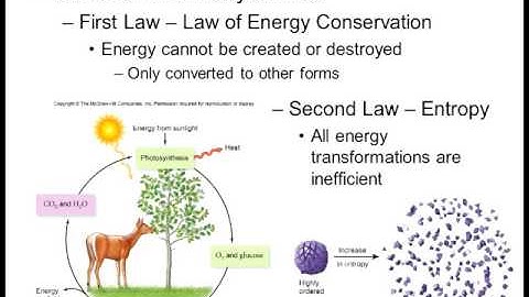 Biology 1010 Lecture 7 Biological Energy