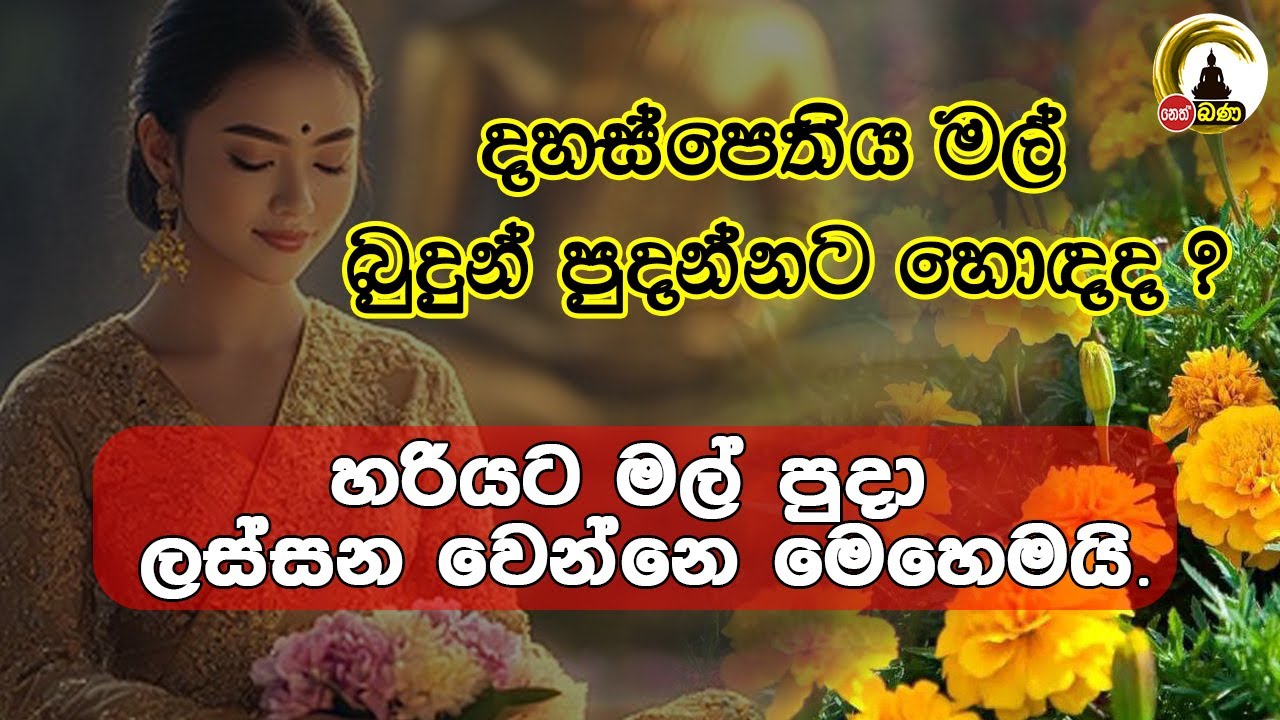 හරියට මල් පූජා කර ලස්සන වෙමු Mathra Mahinda Himi Youtube 