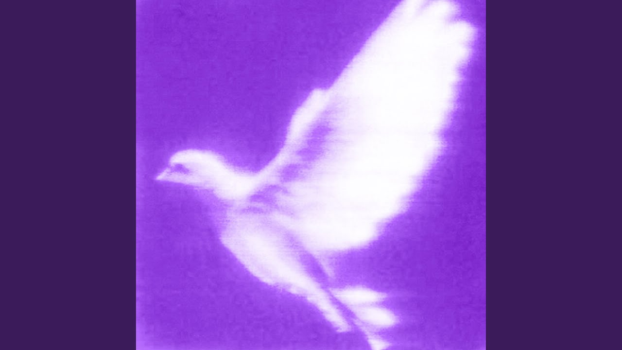 Oasis adlı videoyu YouTube'da izle Oasis adlı videoyu YouTube'da izle