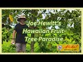 Joe hewitts hawaiian fruit tree paradise part 1 of 3 with special guest bobby biswas