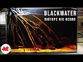 Aquarium biotope blackwater