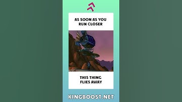 Tell me, what do you remember...  #kingboost #wow #rec #warcraft #transmog #dragonflight #humor #mem