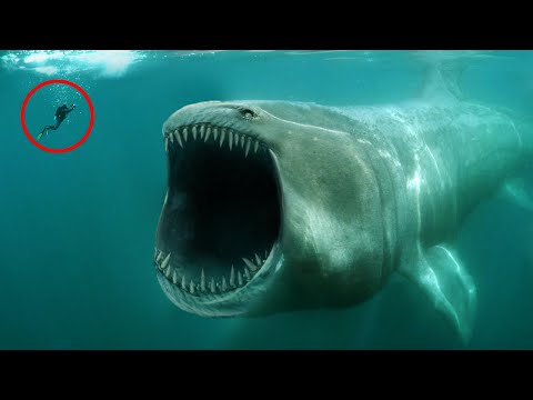 BIGGEST Mysterious Unexplained Sounds