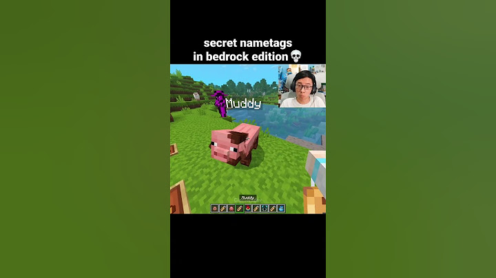 Minecraft Secret Nametags Moment