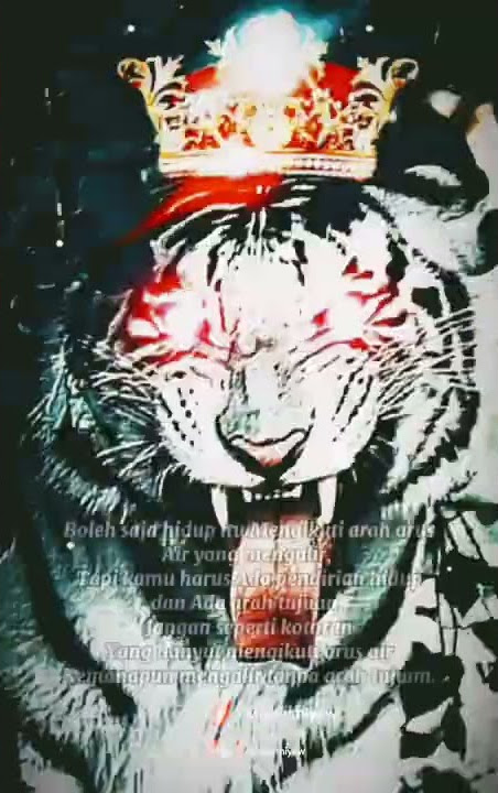 Kata-kata bijak macan putih. Raja macan putih #shorts #motivation #katamutiara #wejangan