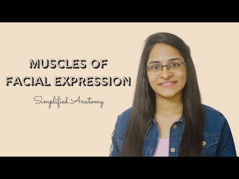 MUSCLES OF FACIAL