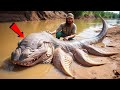 Amazon River में पाए जाने वाले 5 सबसे खतरनाक दानव Deadliest Creatures Found in Amazon River