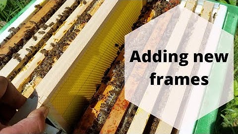 When to add more frames to a small beehive